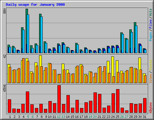 Daily usage for January 2008