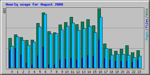 Hourly usage for August 2008